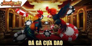 Đá Gà Cựa Dao