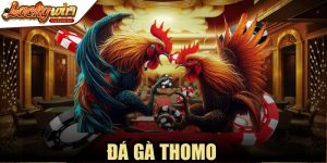 Đá Gà Thomo