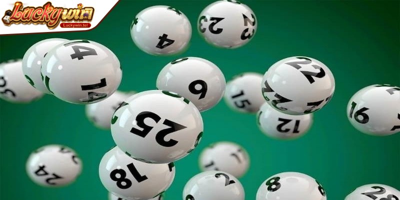 Nuôi khung bạch thủ lô kiểu miền Bắc